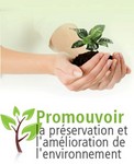 Logo de Nicole Desroches -CREDDO-