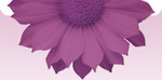 Logo de Comfy Posture Solutions